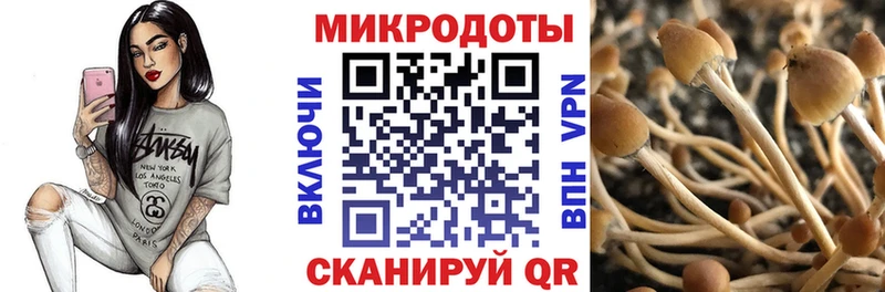 Галлюциногенные грибы Cubensis  Барнаул 